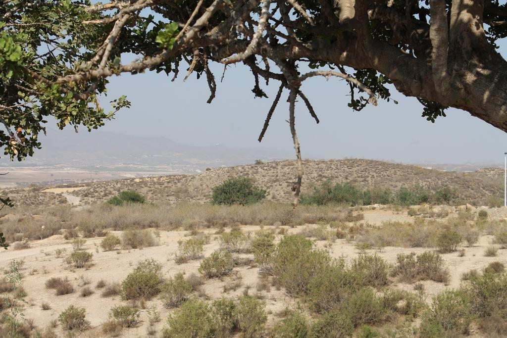 Casa Alegria Mazarron Villa Екстериор снимка